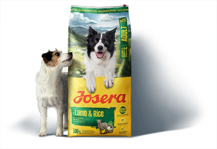 Josera Tiernahrung Die Gesunde Ernährung Für Hunde Und Katzen Einfach Macht